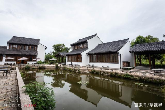 芦荡唱晚，夜宿沙家浜，尝阳澄湖大闸蟹，枕着虫鸣入睡(图6)