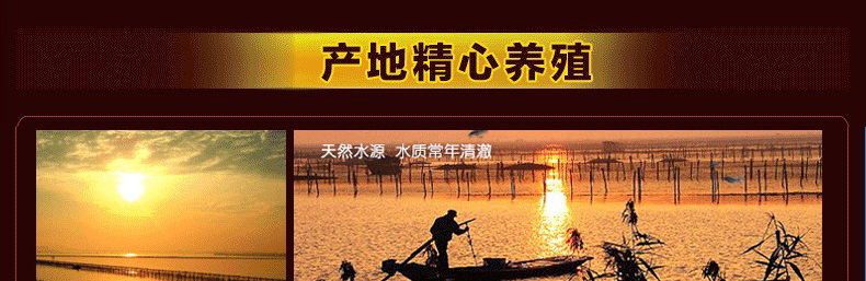 肥王大闸蟹 阳澄湖大闸蟹公蟹6.0两 母蟹4.0两 4对8只装包邮(图13)